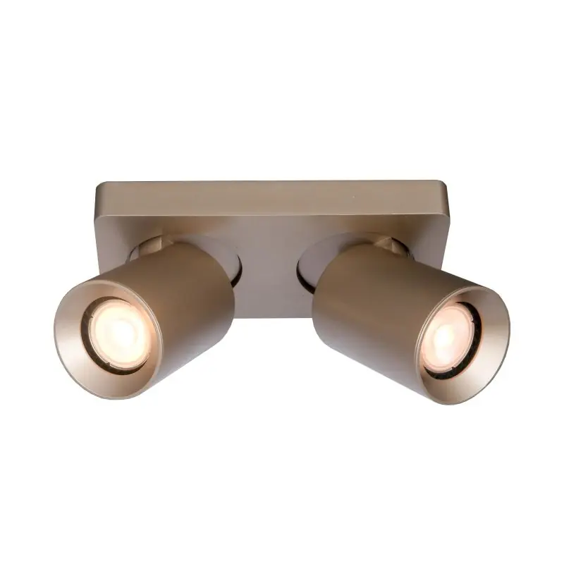Tijdelijk Beschikbaar Artdelight Megano - opbouwspot 2L - 20 x 10 x 11,5 cm - champagne