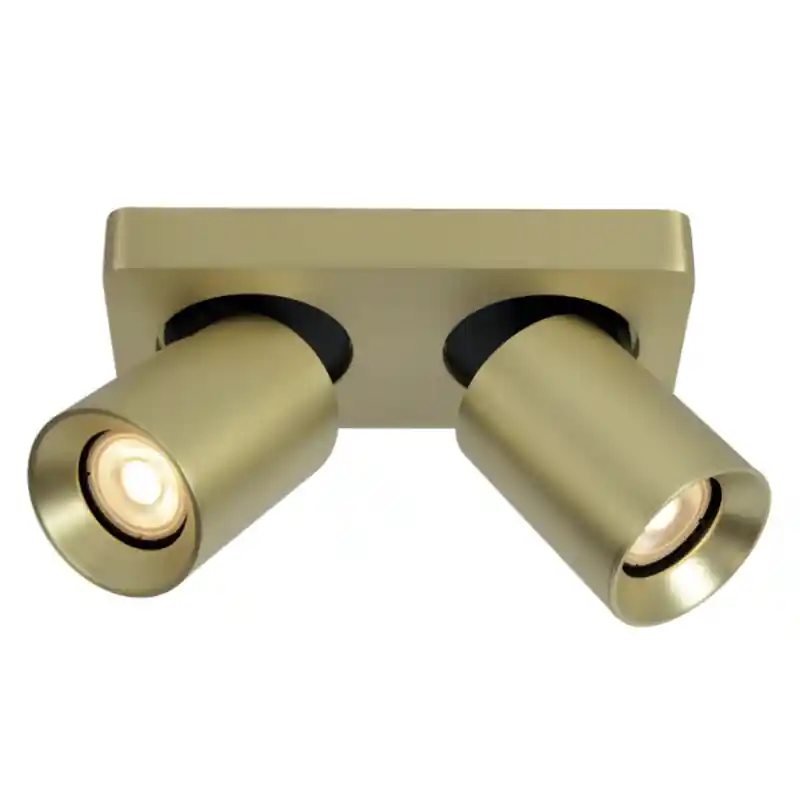 Nu Kopen Artdelight Megano - opbouwspot 2L - 20 x 10 x 11,5 cm - mat goud