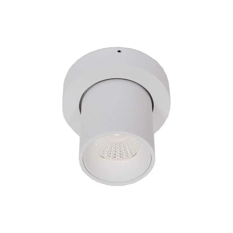 Artdelight Laguna - opbouwspot 1L - Ø 10 x 9,5 cm - 6W dimbare LED incl. - wit Veilige Betaling