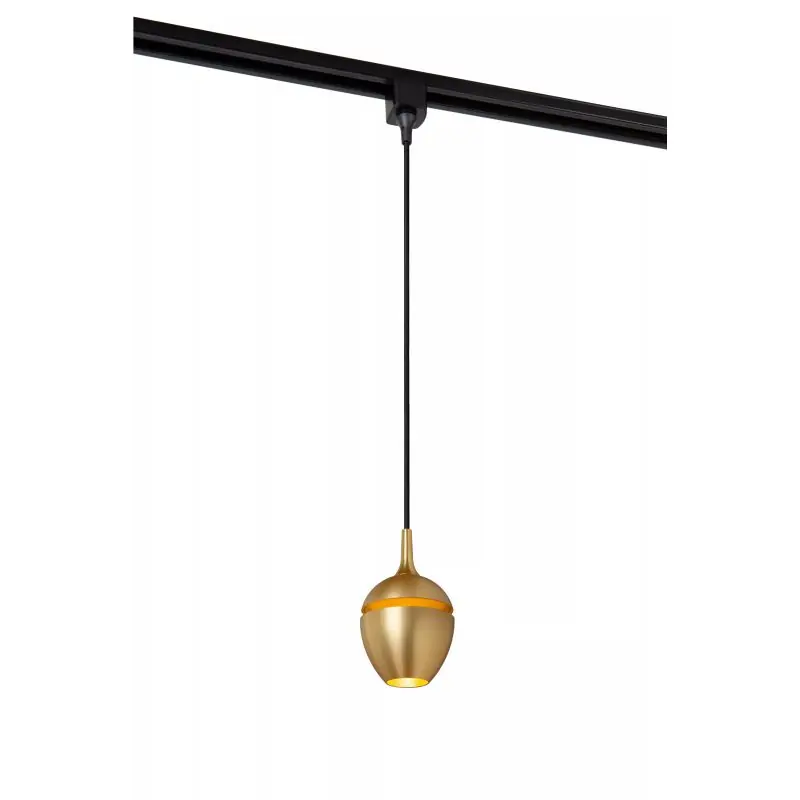 Bestseller Lucide Track Preston Hanglamp - 1-fase Railsysteem - Ø 9 x 130 cm - goud