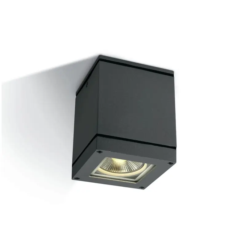 Nieuw Model ONE Light PAR30 Outdoor Cubes - buiten plafondverlichting - 10,8 x 10,8 x 14 cm - IP54 - antraciet