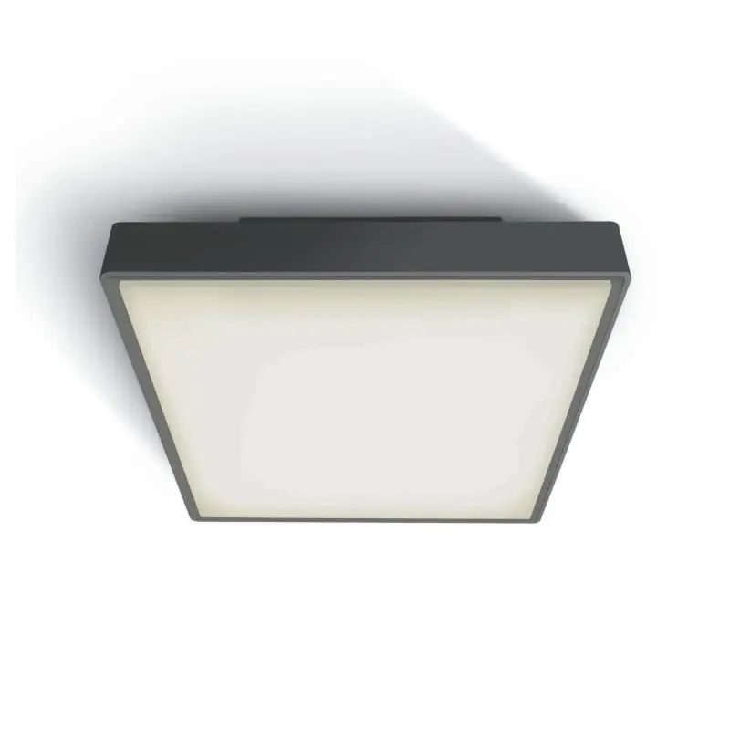 ONE Light E27 Plafo Outdoor Square - buiten plafondverlichting - 29,5 x 29,5 x 10,5 cm - IP65 - antraciet Modern