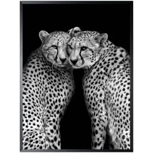 Art Print Cheeta CHEET-01 Koop Vandaag