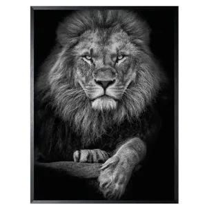 Art Print Leeuwenkop SHB634-TU0 Budget