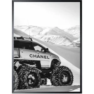 Art Print Chanel Sneeuwtruck FA-100 Plaats Bestelling