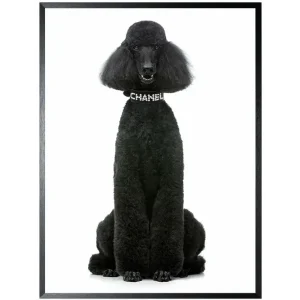 Exclusieve Aanbieding Art Print Chanel Poedel FA-110
