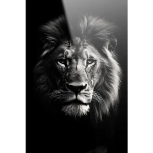 Glasschilderij Mighty Lion Exclusieve Aanbieding
