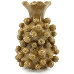 Geld-Terug-Garantie Vaas Mustard 240216 Viro