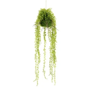 Limited Edition Kunstplant 403098 Ficus