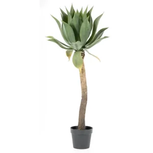 Op = Op Kunstplant 403091 Agave