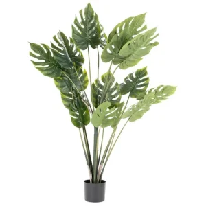 Superprijs Kunstplant 403084 Monstera