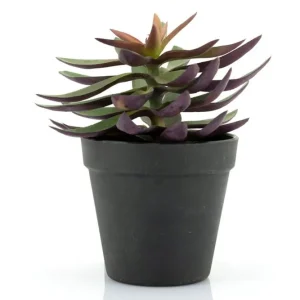 Beste Prijs Kunstplant 403114 Vetplant
