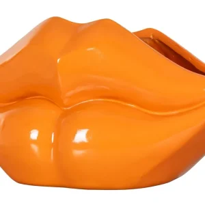 Vaas VA-0341 oranje Lippo Topkwaliteit