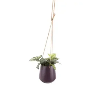 Pt Bloempot Skittle - Hangend - Medium - Donkerpaars - Ø13,5x15cm Flitsaanbieding