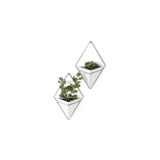 Lage Prijs Umbra Opbergbak Trigg - Set Van 2 - Wandmodel - Wit - Nikkel - 11x7x19cm
