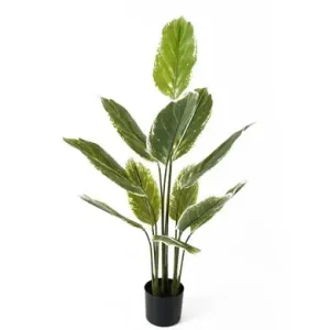 Meest Verkocht Pt Kunstplant Artificial - Calathea - Large - Groen - 70x70x116cm