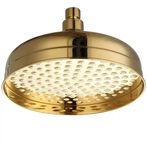Nostalgische hoofddouche Retro ?20cm Goud Wereldwijde Verzending