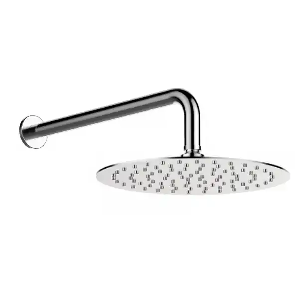 Actieprijs Hoofddouche ?20cm gepolijst RVS inclusief muurarm