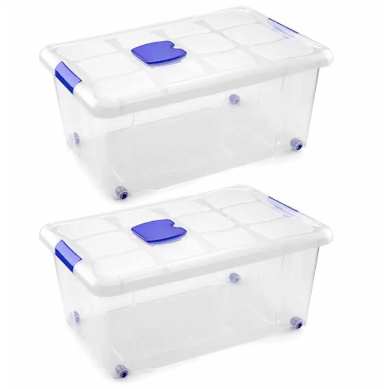 PlasticForte Opslagbak met deksel - 2x - 36L - 59 x 40 x 25 cm - Opbergbox Topkwaliteit