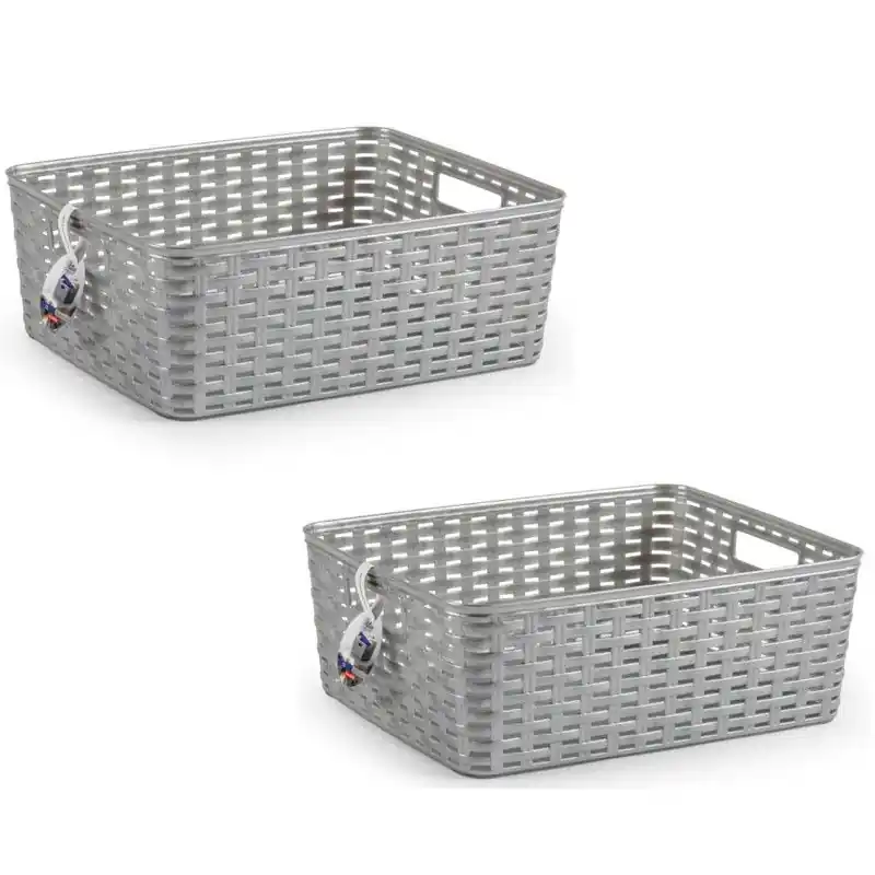 Exclusieve Aanbieding Plasticforte Opbergmand/kastmand - 2x - kunststof - zilver - 12L - Opbergbox
