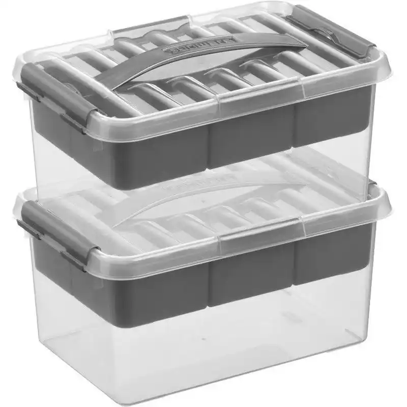 Weekendaanbieding 2x Kunststof stapelbare opbergbak met vakken 6 liter 30 x 20 x 14 cm - Opbergbox