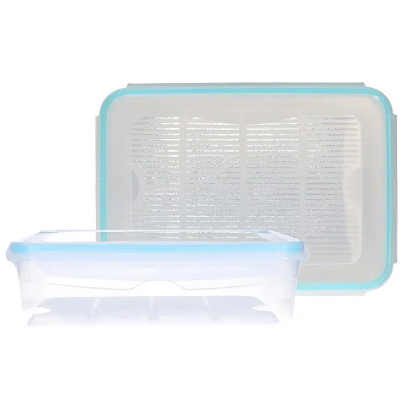 Voorraadbakjes - 2x - met deksel - 2.6 L - bewaarbakjes - mealprep - Vershoudbakjes Actieprijs