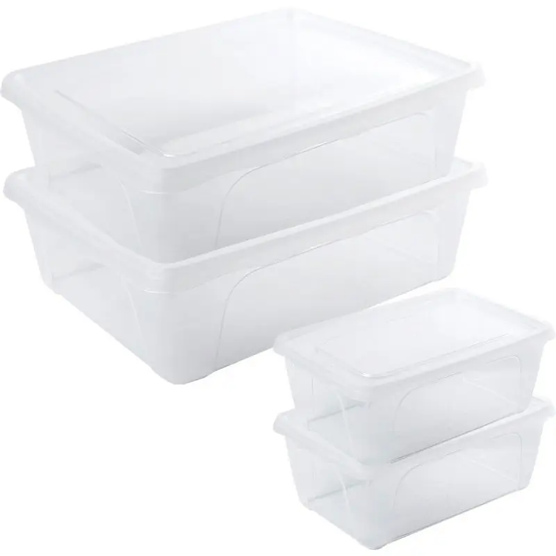 Beperkt Aanbod 4x Voedsel plastic bewaarbakjes hoog/diep 0,5 en laag 2,5 liter transparant - Vershoudbakjes