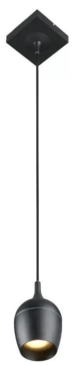 Populair Lucide Preston plafondlamp 50W zwart mat
