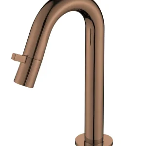 Beperkte Voorraad Best Design Dijon toiletkraan sunny bronze - brons