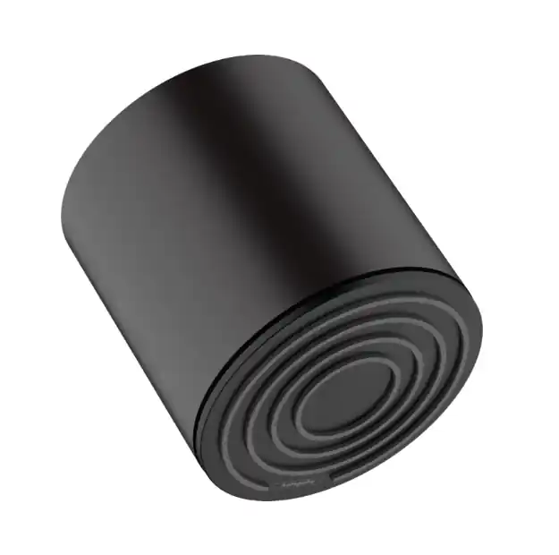 Hansgrohe Pulsify S hoofddouche 105 waterbesparend zwart mat Modern
