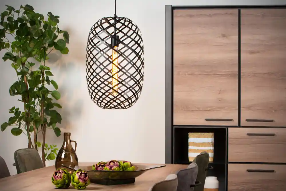 Lucide Wolfram hanglamp 32cm 1x E27 zwart Rechtstreeks Van De Fabrikant