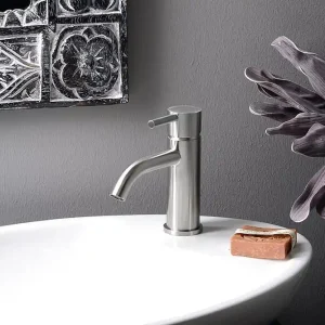 Betaalbaar Sapho Minimal wastafelkraan RVS