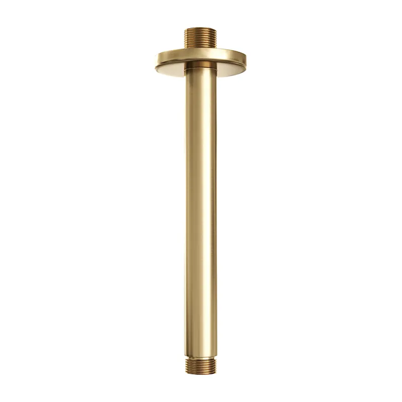 Professioneel Brauer Gold Edition plafondarm geborsteld messing PVD