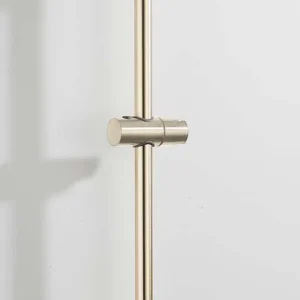 Garantie Inbegrepen Saniclear Plus douche glijstang 60cm geborsteld messing mat goud