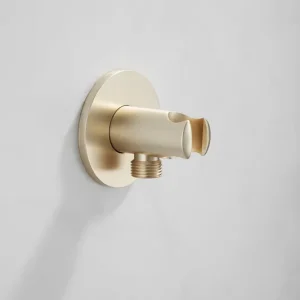Saniclear Plus handdouche houder met wateraansluiting geborsteld messing mat goud Exclusief
