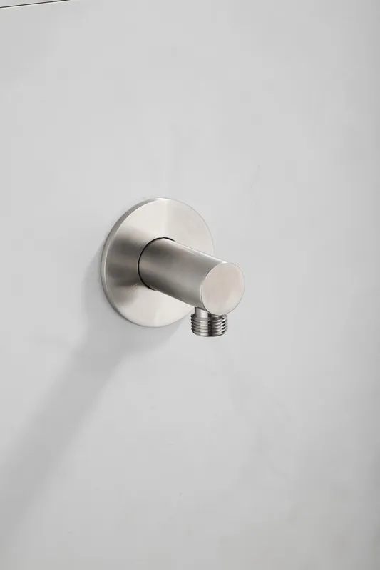 Saniclear Plus wand wateraansluiting RVS Beperkte Voorraad