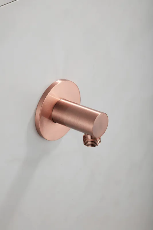 Saniclear Plus wand wateraansluiting geborsteld koper Exclusief