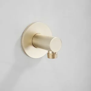 Alleen Vandaag Saniclear Plus wand wateraansluiting geborsteld messing mat goud