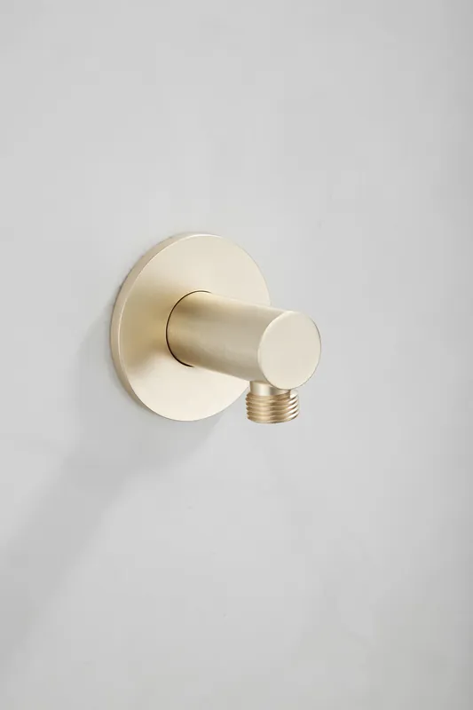 Alleen Vandaag Saniclear Plus wand wateraansluiting geborsteld messing mat goud