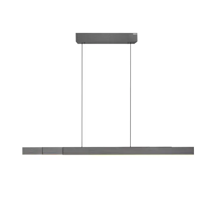 Hanglamp PURE Moto-Rise Laatste Kans