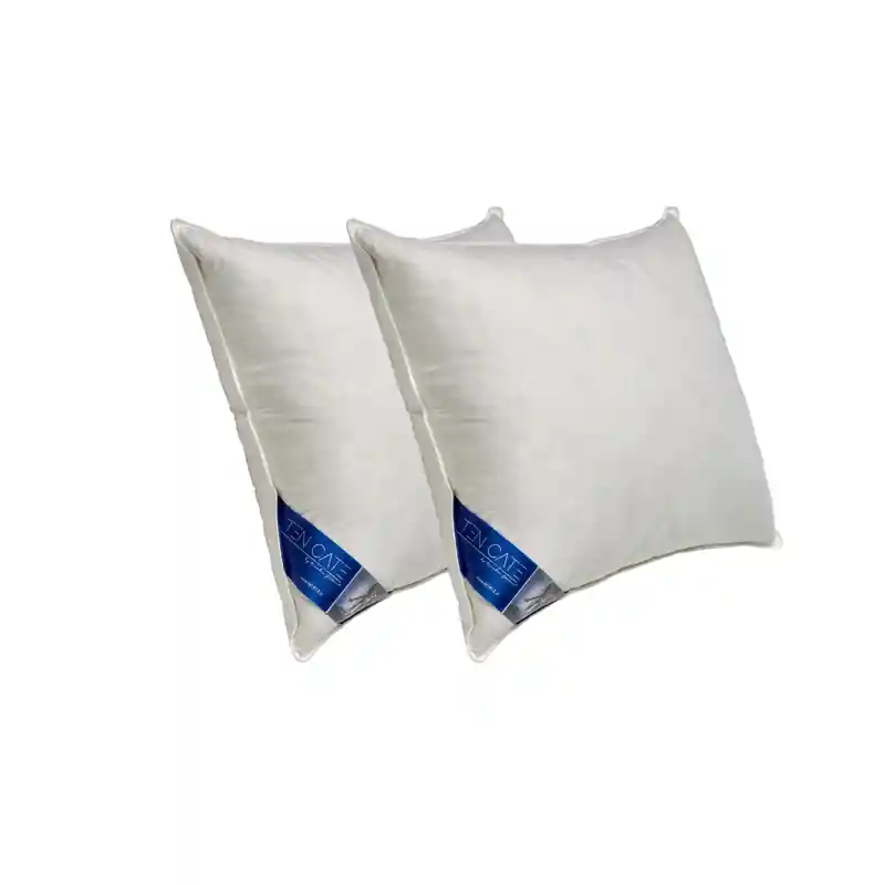 Ten Cate 15/85 Halfdonzen Hoofdkussen 60x70 cm - 2 stuks Direct Beschikbaar