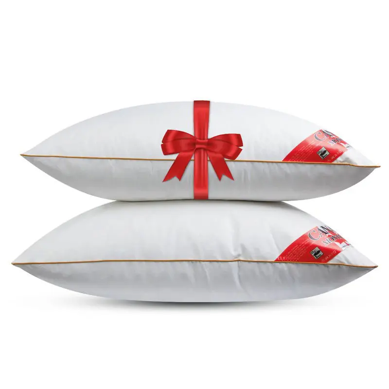 Nieuwe Collectie Canada Stevig Veren Hoofdkussen - Set van 2 stuks - DownPass gecertficeerde Veren - Ergonomisch - 60x70cm