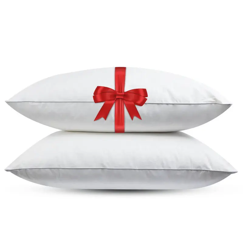 Fabiola Dormi - Medium Veren hoofdkussen - Set van 2 stuks - DownPass gecertificeerde  Eendenveren - Ergonomisch - 60x70cm Seizoensaanbieding