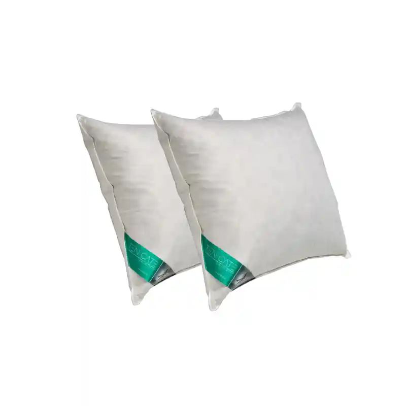 Rechtstreeks Van De Fabrikant Ten Cate 100% Eendenveren Hoofdkussen 60x70 cm