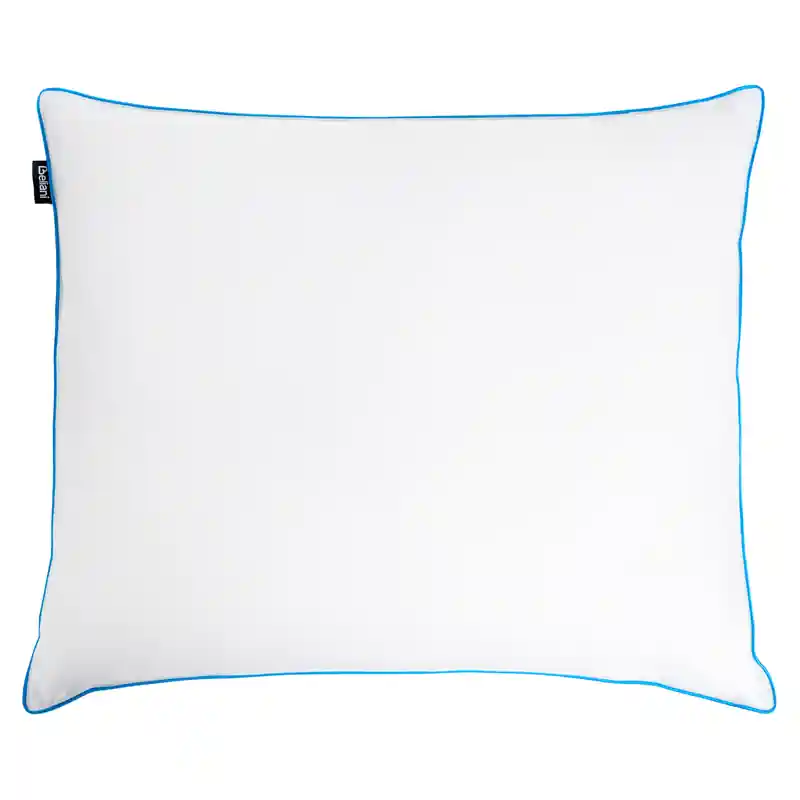 ANETO - Hoofdkussen 3 vakken - Wit - 50 x 60 cm - Laag - Eendenveren Betaalbaar