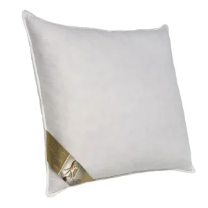 Uitverkoop Ten Cate 3-Kamer Ganzendonzen Hoofdkussen 60x70 cm