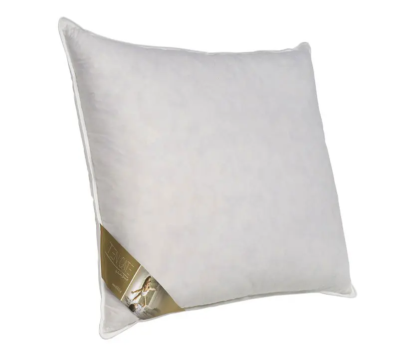 Uitverkoop Ten Cate 3-Kamer Ganzendonzen Hoofdkussen 60x70 cm
