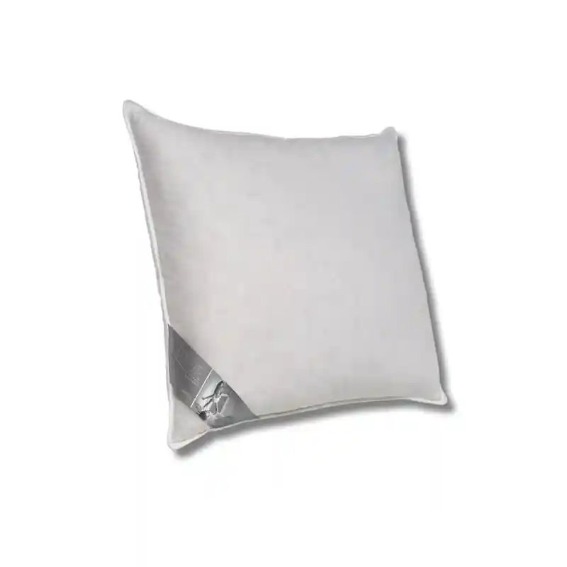 Hoge Kwaliteit Ten Cate 3-Kamer Eendendonzen Hoofdkussen 60x70 cm