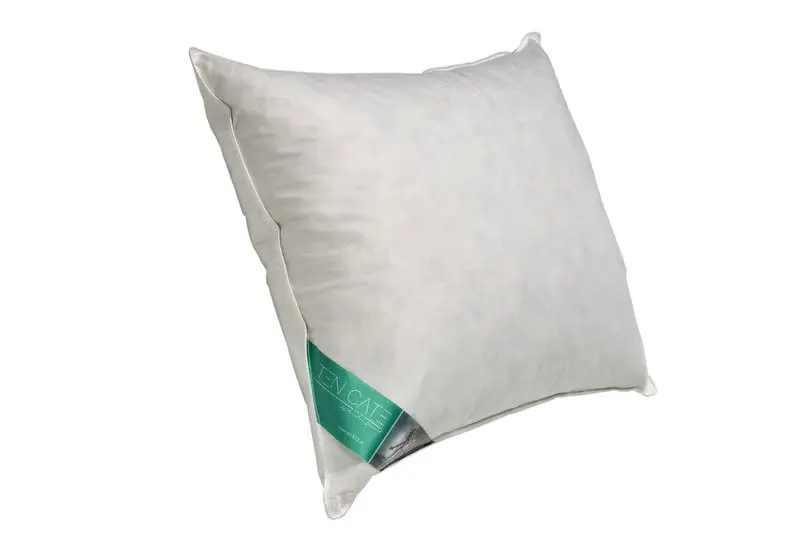 Ten Cate 100% Eendenveren Hoofdkussen 60x70 cm Hete Deal