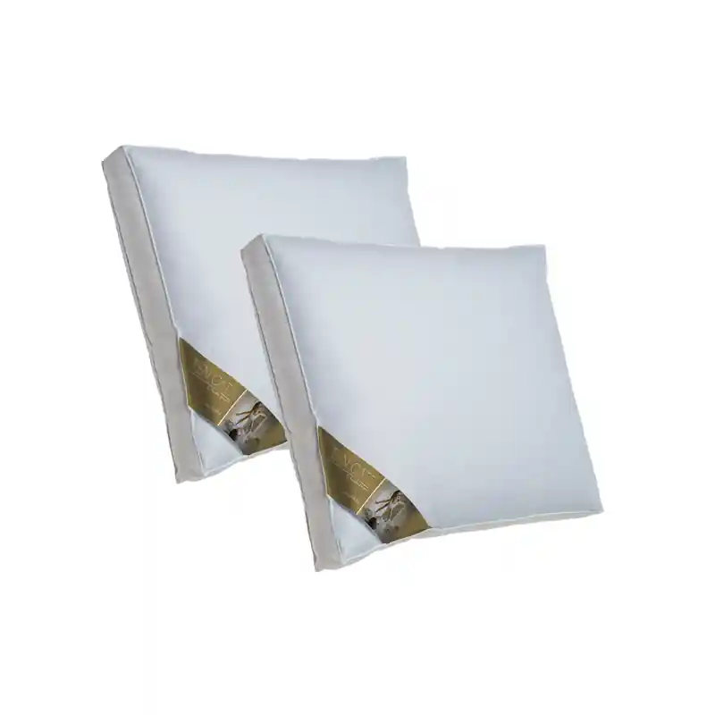Groothandel Ten Cate 3-Kamer Ganzendonzen Boxkussen 60x70 cm - 2 stuks